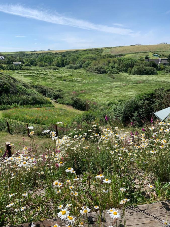 Tides Reach, Deluxe Shepherds Hut 1, 100m From The Campsite