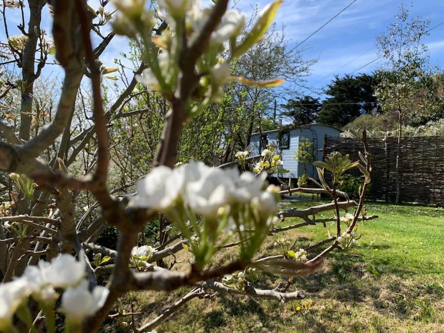 Tides Reach, Deluxe Shepherds Hut 1, 100m From The *